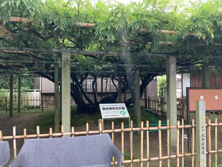 惣社神社の自然
