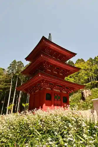 高蔵寺(福島県)