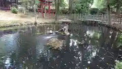 調神社の庭園