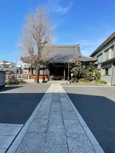 真正寺の本殿・本堂