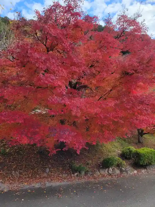 桂谷寺(兵庫県)