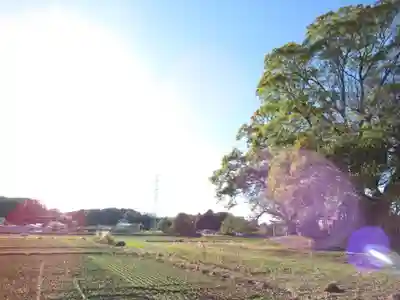 神明神社(千葉県)