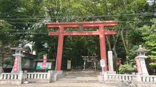 世田谷八幡宮の鳥居