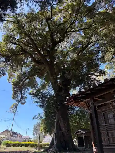 高房神社(茨城県)