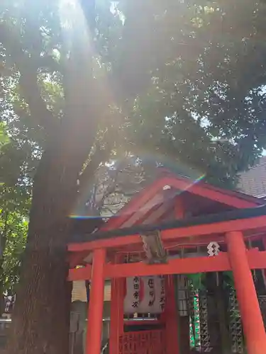 安倍晴明神社（阿倍王子神社境外末社）(大阪府)