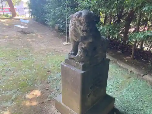 富岡八幡宮の狛犬