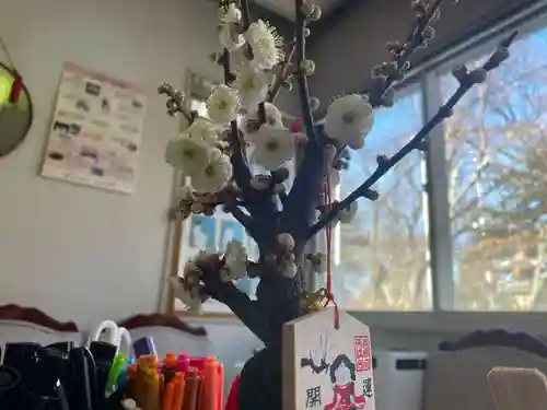 彌彦神社　(伊夜日子神社)の絵馬