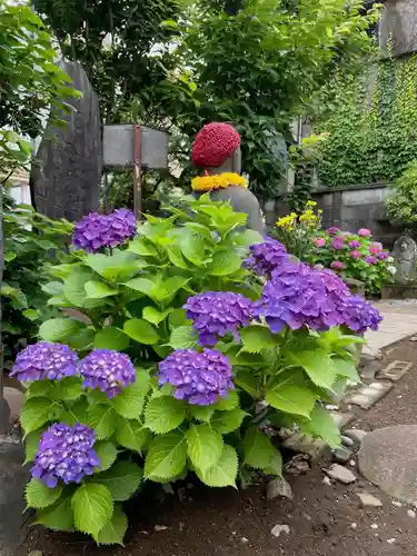 福王山  慈眼寺の自然