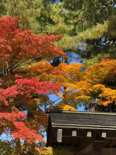 毛越寺の本殿