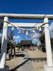 橘神社の鳥居