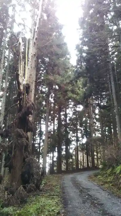 儛草神社の自然