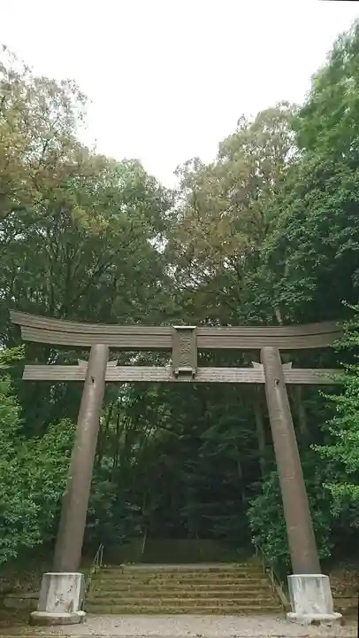 槵觸神社の鳥居