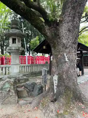 古知野神社(愛知県)