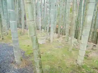 圓光寺(京都府)