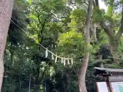 明治神宮の建物その他