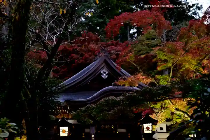高幡不動尊 金剛寺(東京都)