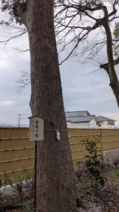 高忍日賣神社の自然