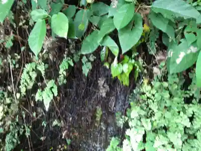 浦郷神明神社(神奈川県)