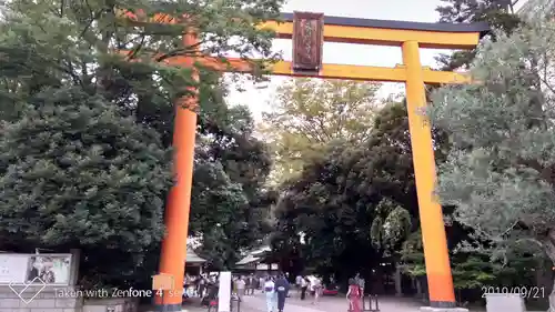 川越氷川神社の鳥居