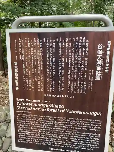 谷保天満宮(東京都)