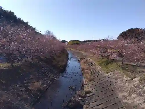 白山神社(静岡県)