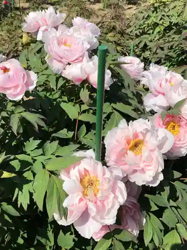 金蛇水神社の自然