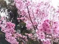 熊野若王子神社(京都府)