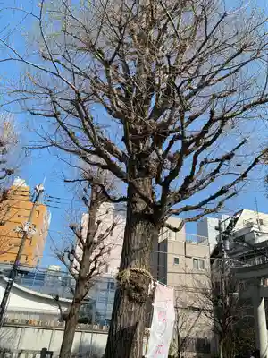 矢先稲荷神社(東京都)