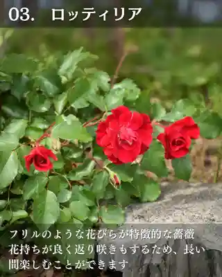 宝光寺(北海道)