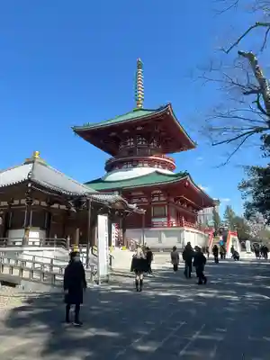 成田山平和大塔(千葉県)