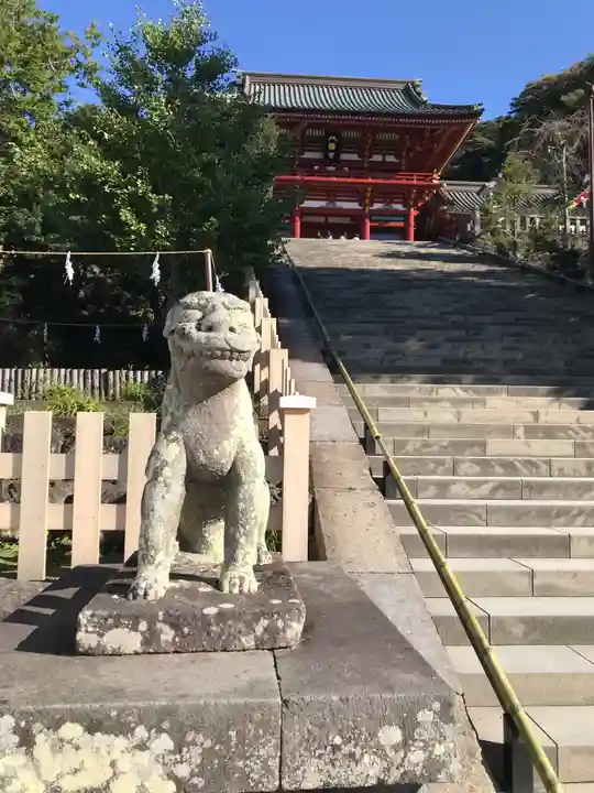 鶴岡八幡宮の狛犬