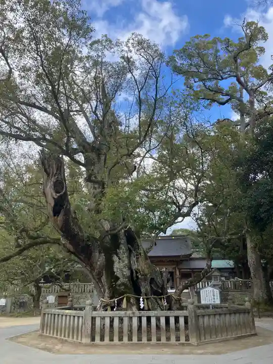大山祇神社(愛媛県)