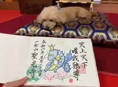 あたたかい雰囲気の龍を描きました