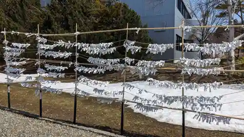 澄丘神社のおみくじ