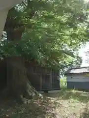 布制神社(長野県)