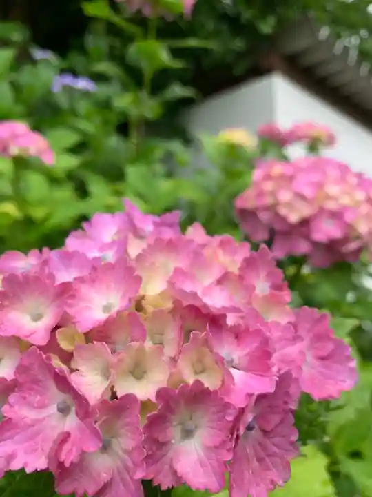 長谷寺(奈良県)