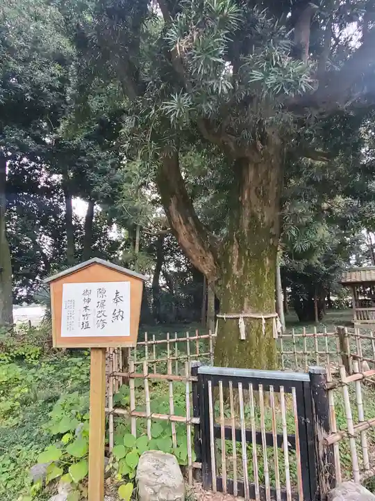 伊弉諾神社(埼玉県)