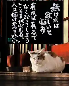 専念寺(大阪府)(2022年12月15日(木) 18時56分35秒投稿)