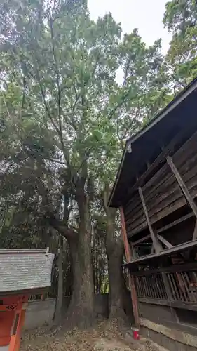 御園神社(京都府)