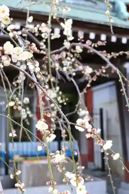 宗隆寺(神奈川県)