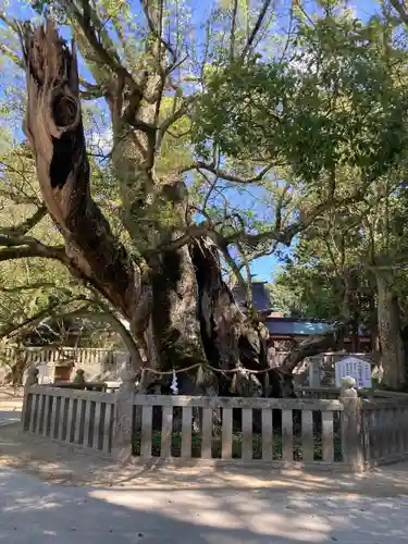 大山祇神社(愛媛県)