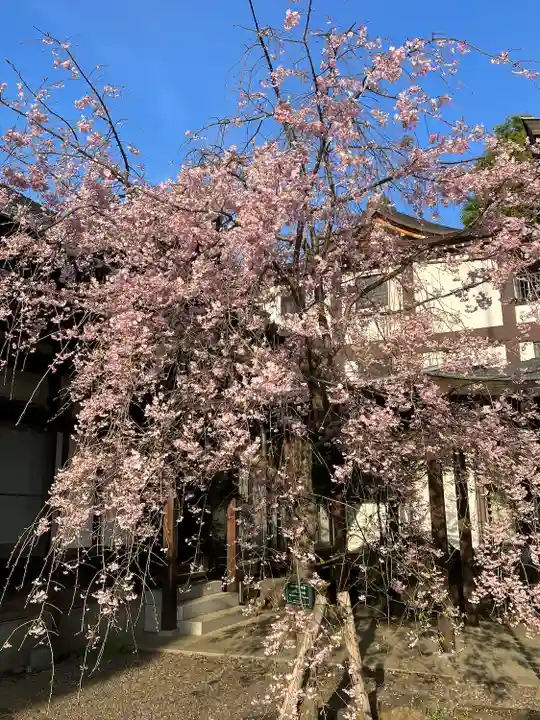 大國魂神社(東京都)