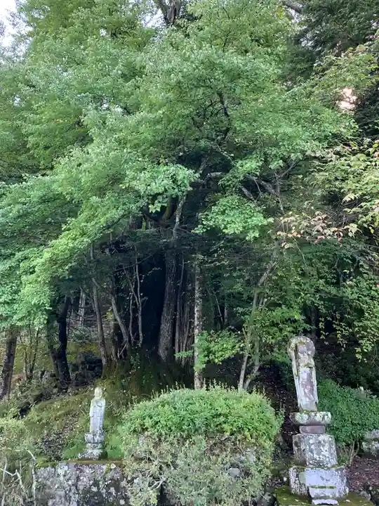 中禅寺(栃木県)