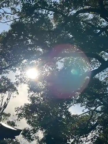 武蔵一宮氷川神社の自然