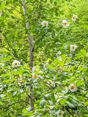 東林院(京都府)