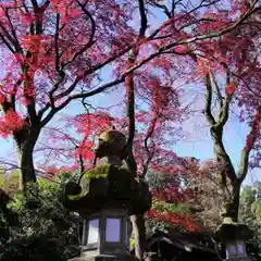 神炊館神社 ⁂奥州須賀川総鎮守⁂の景色