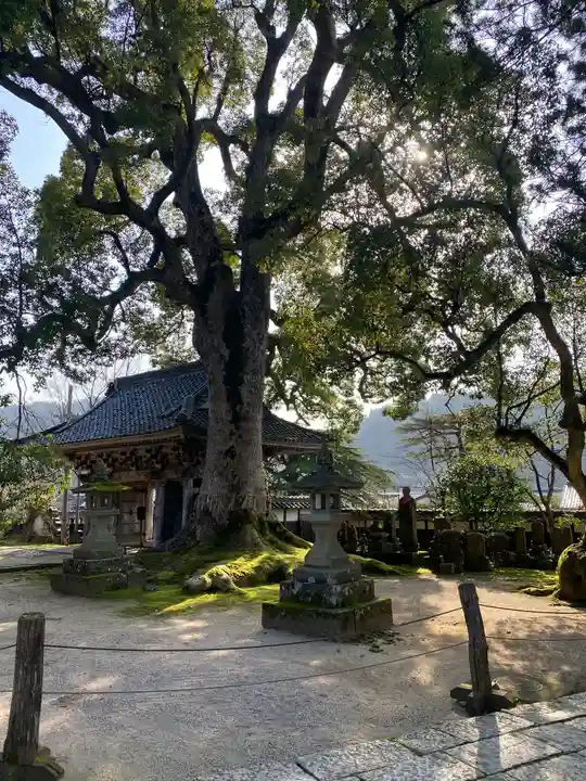 大乗寺(兵庫県)