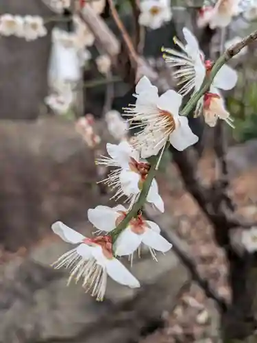 田端神社(東京都)