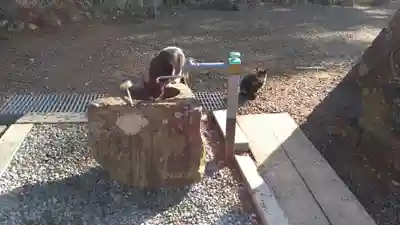 熊野那智神社の手水舎