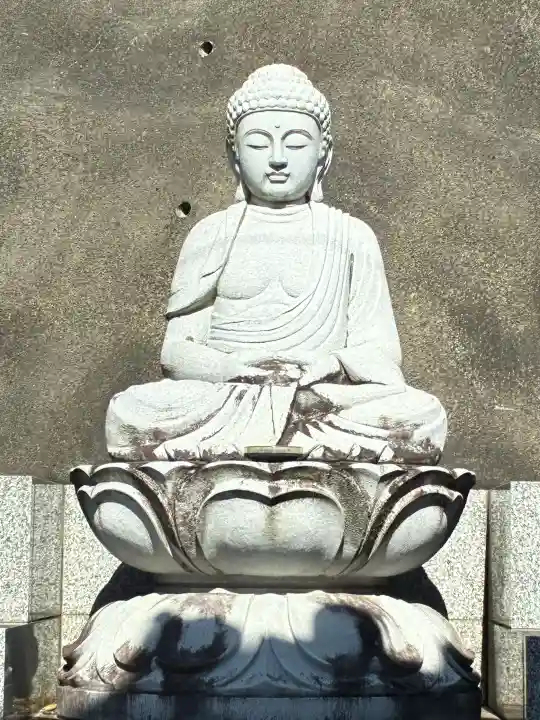 眞珠院の{uncategorized: "未分類", other: "その他", undefined: "問題あり", building: "その他建物", grave: "お墓", sacred_gate: "鳥居", guardian: "狛犬", statue: "像", buddha: "仏像", history: "歴史", nature: "自然", garden: "庭園", animal: "動物", pagoda: "塔", temizu: "手水舎", mountain_gate: "山門・神門", sanctuary: "本殿・本堂", subordinate: "末社・摂社", art: "芸術", scenery: "景色", jizo: "地蔵", ema: "絵馬", goshuin: "御朱印", omikuji: "おみくじ", items: "授与品その他", amulet: "お守り", goshuincho: "御朱印帳", eats: "食事", festival: "お祭り", votive_dance: "神楽", shichigosan: "七五三参", wedding: "結婚式", experience: "体験その他", initially: "初詣", around: "周辺", anti_infection: "感染症対策"}